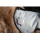 Gilet de refroidissement sec  pour chiens, Cani Cool